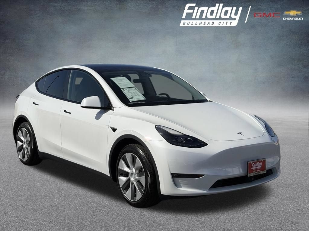 2023 Tesla Model Y Long Range in Other — front three-quarter view